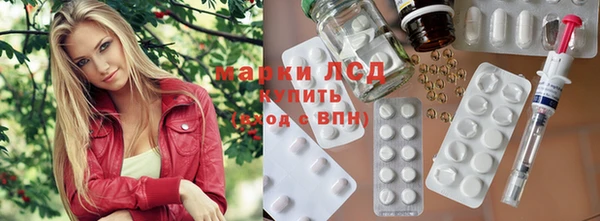 гидропоника Строитель